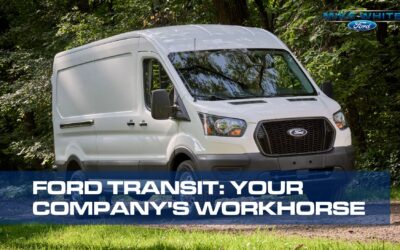 Ford Transit: Your Company’s Workhorse